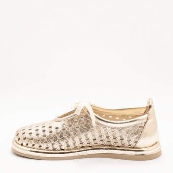 Дамски обувки в зластисто