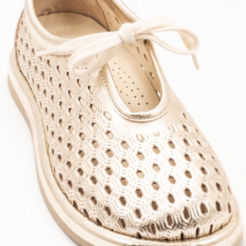 Дамски обувки в зластисто